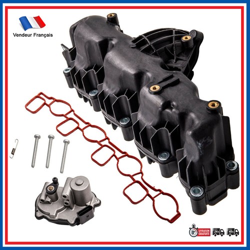 Intake manifold motor - manifold,