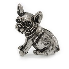 Adorable Baby French Bulldog