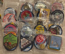 Girlguiding 10 Mixed/Random Badges