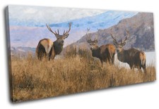 Stag Deer Abstract Highland