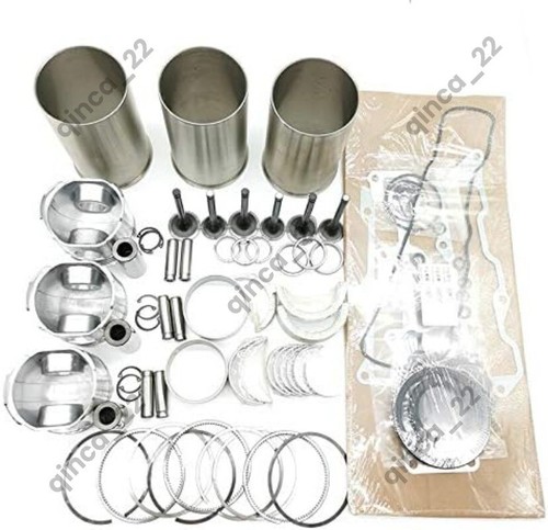 Overhaul rebuild kit - kit, for