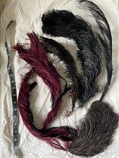 Antique Millinery Feathers Feather Hat Trim Costume Ostrich Edwardian Victorian 