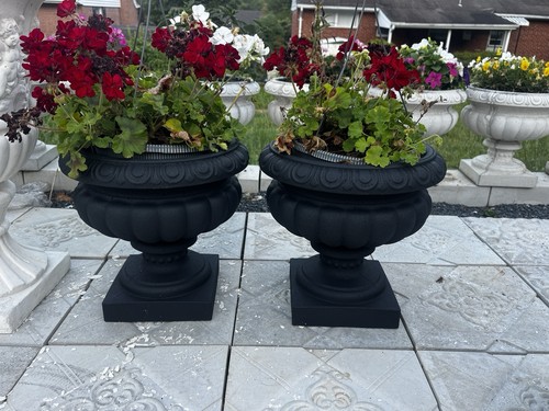 Large solid concrete planters