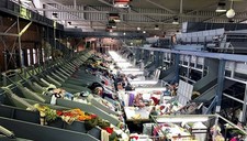 20kg Children Winter Mix