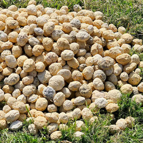 Quartz geodes break your own - quartz,