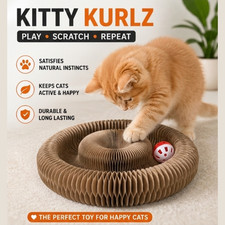 KITTY KURLZ Magic Organ Cat