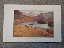 Wild Mountain Ponies, Angle Tarn, Patterdale - Antique Print - 1922