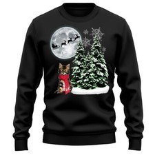 Maine Coon Kitten Gift Cat Christmas Sweatshirt Owner Him or Her Xmas Jumper ...