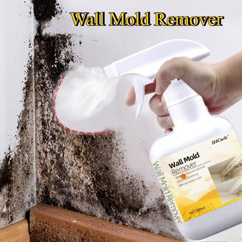 New bathroom mold - new, remover