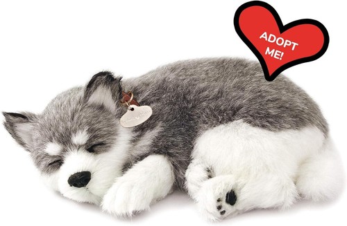 Perfect petzzz original - perfect,