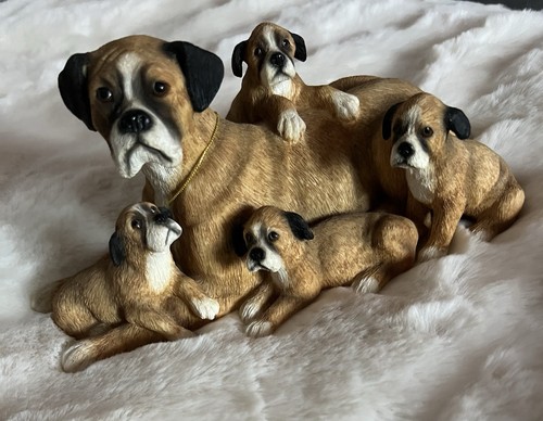 Lovely boxer dog with pups - lovely,