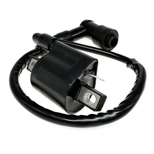 Ignition coil with spark plug