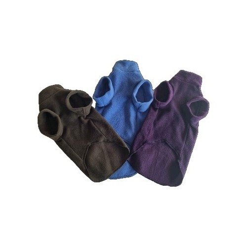 All sizes many colours sphynx - colours,
