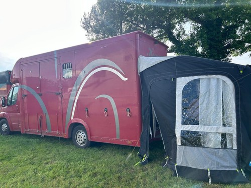 Fiat ducato horse box - fiat,