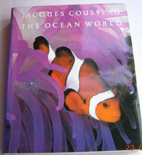 The ocean world - ocean,