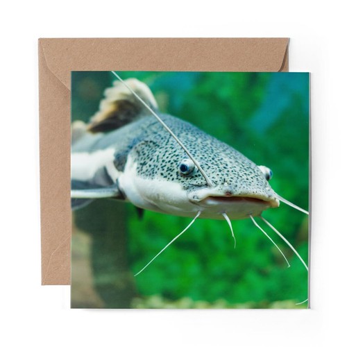 Blank greeting card red - 1,