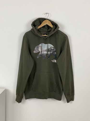 The north face mens hoodie - the,