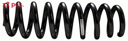 Pcs rear coil springs - pcs,