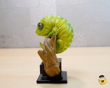 Natural History Mini Series -