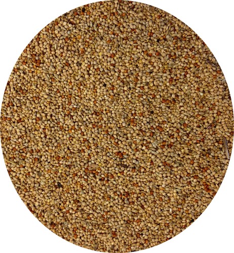 Foreign finch seed - foreign, the