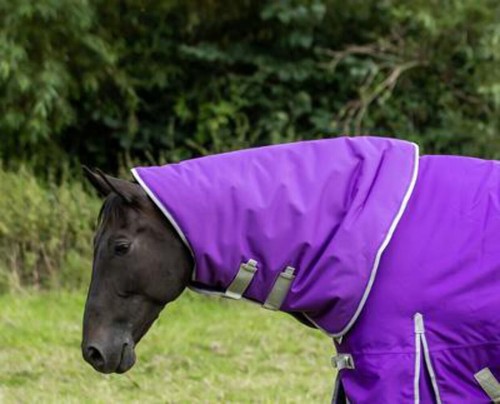 100g purple turnout rug - 100g,