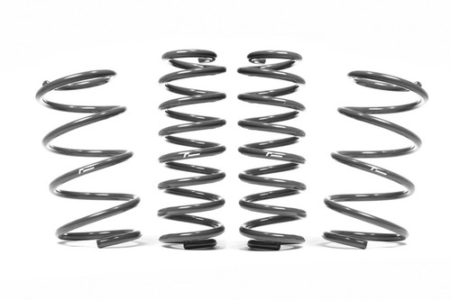 Racingline lowering spring kit - racingline,