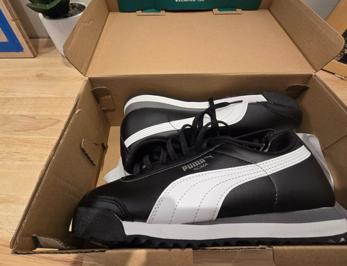 Big kid puma - puma, roma