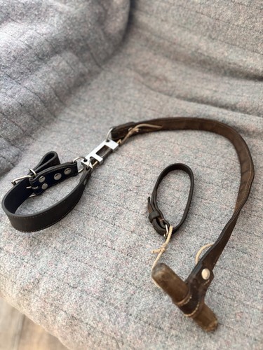Slip lead greyhound whippet - lead,