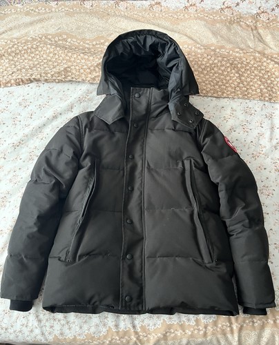 Canada goose arctic - canada, program