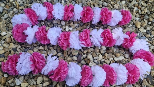 Hot pink white - hot, pink/white