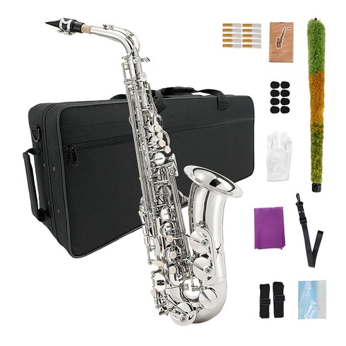 Professional beginner eb - professional,