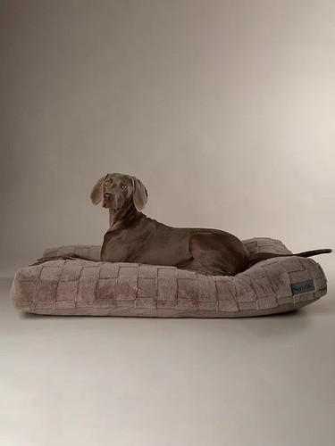 Scruffs oxford orthopaedic - scruffs,