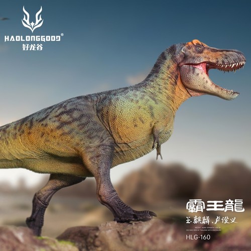 Haolonggood tyrannosaurus rex - haolonggood,