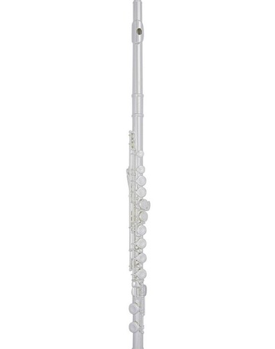 Trevor james 10xe - trevor, flute