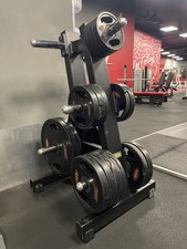 Used Technogym Plate Tree