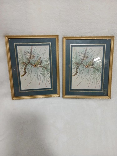 Pair vintage framed bird - vintage,