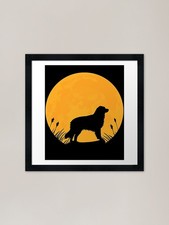 australian shepherd Dog lover