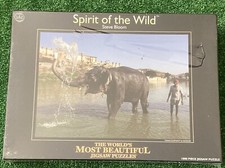 Indian Elephant by Steve Bloom