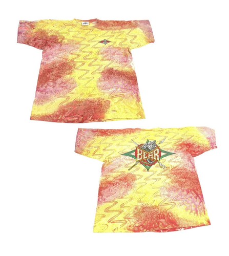 Vintage bear surf - vintage,
