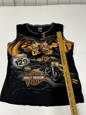 2009 Harley Davidson Smoky