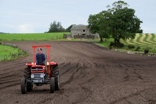 Photo 6x4 sowing crop at - photo, a