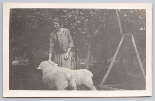 Rppc woman petting sheep farm - rppc,