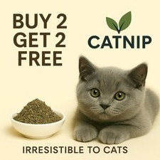CATNIP - pure dried cat nip -