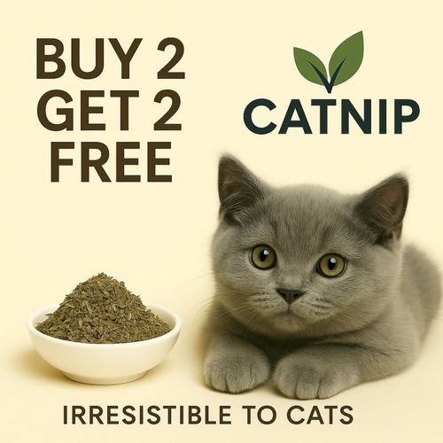 Catnip pure dried cat nip - pure,