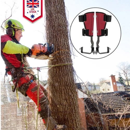 Safety tree climbing - climbing, set