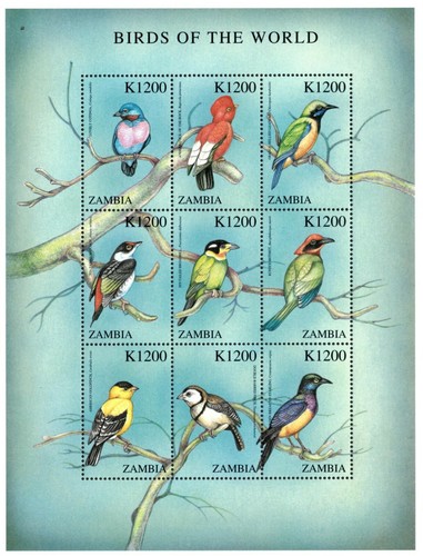Zambia 2000 birds - of, the