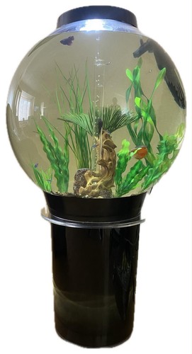 Biorb 105 tank - tank, acrylic