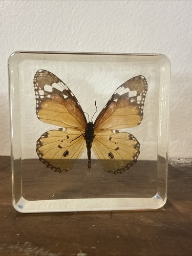 Vintage resin african tiger - vintage,