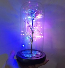 LED Rose Gifts for Her Forever Flower Rose in Glass Dome Birthday Christmas Gift