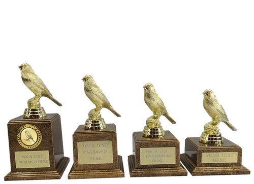 Personalised gold canary - gold,